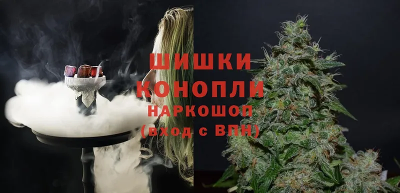 магазин продажи наркотиков  Нововоронеж  Бошки марихуана THC 21% 